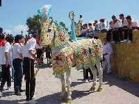 Mi caballo ataviado para las Fiestas