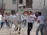 Concurso de caballos a pelo