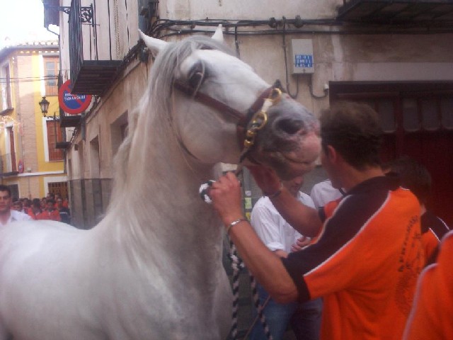 Concurso de caballo a pelo