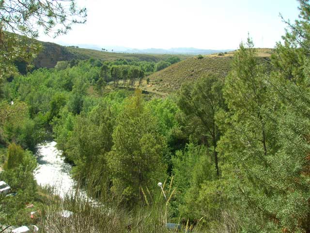 Bosque de Ribera