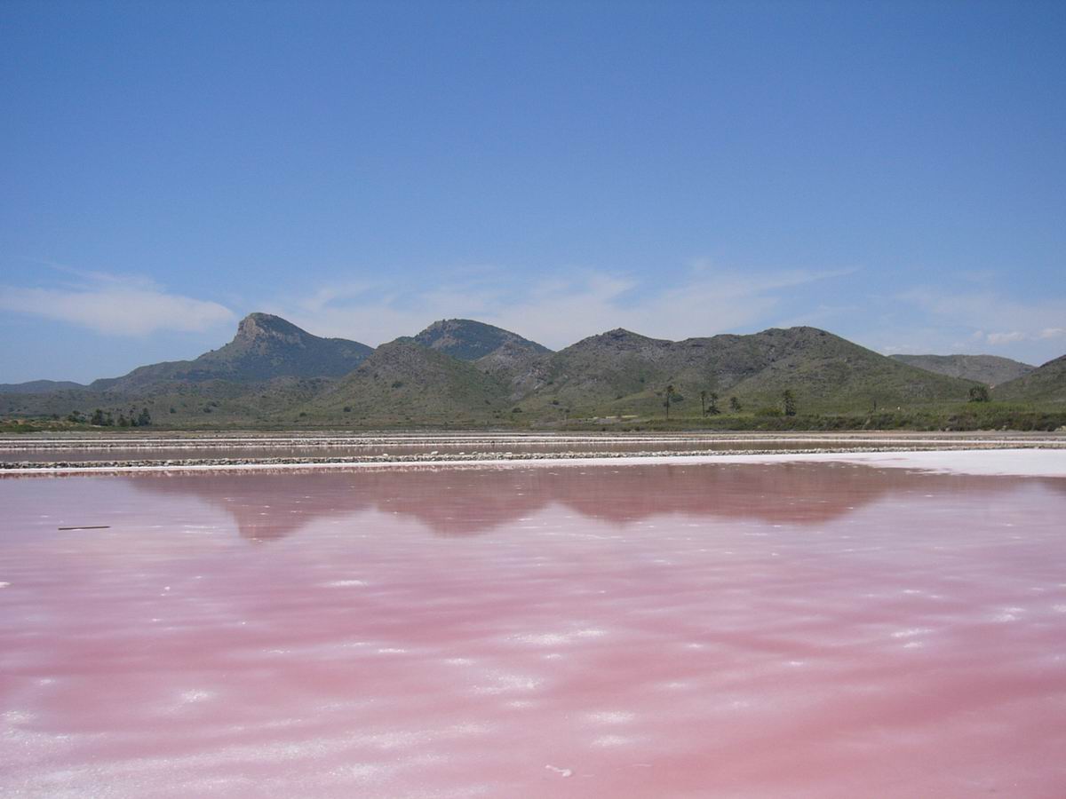 Salina de Calblanque