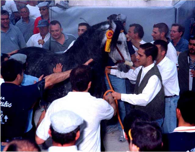 Concurso de Caballos a Pelo