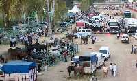 Feria de Ganado 