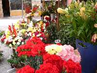 Flores para los difuntos