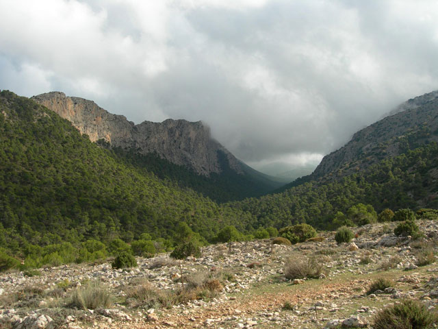 El Valle de Leyva