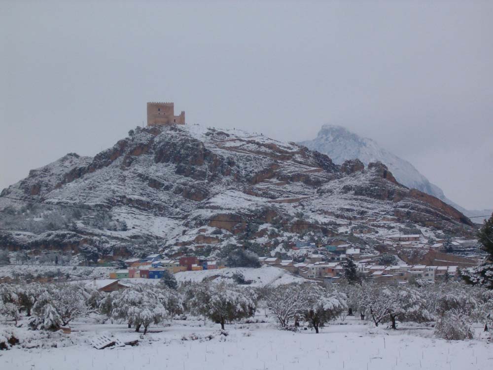 Jumilla de blanco