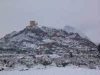 Jumilla de blanco