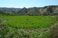 Badlands