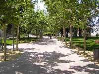 El parque de la Constitucin en 2006