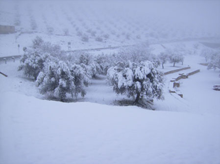 Una bonita estampa de nieve