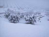 Una bonita estampa de nieve