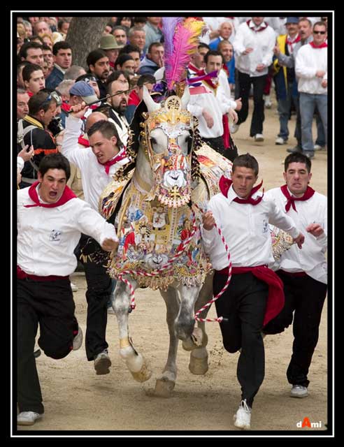 Caballos del Vino