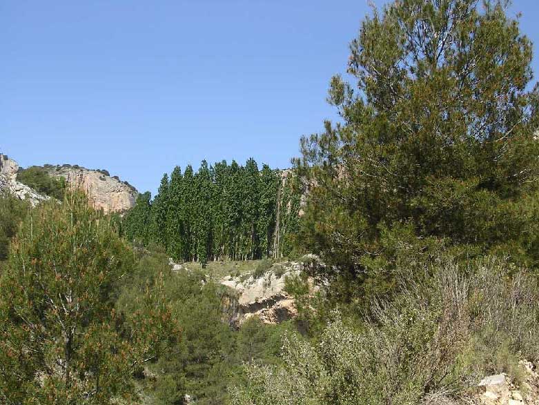 Barranco de Hondares