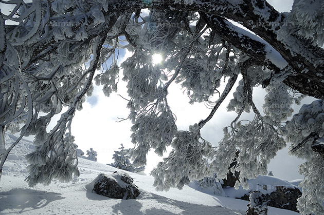 Nieve en el Noroeste