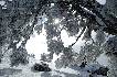 Nieve en el Noroeste