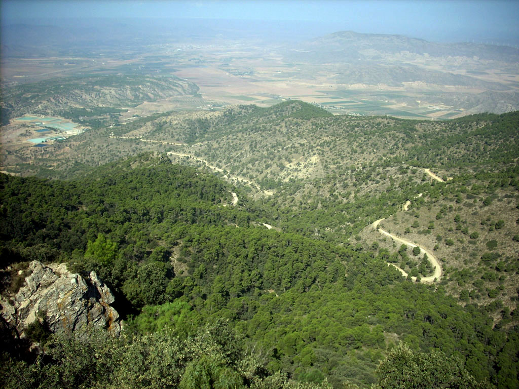 Jumilla desde la sierra de El carche