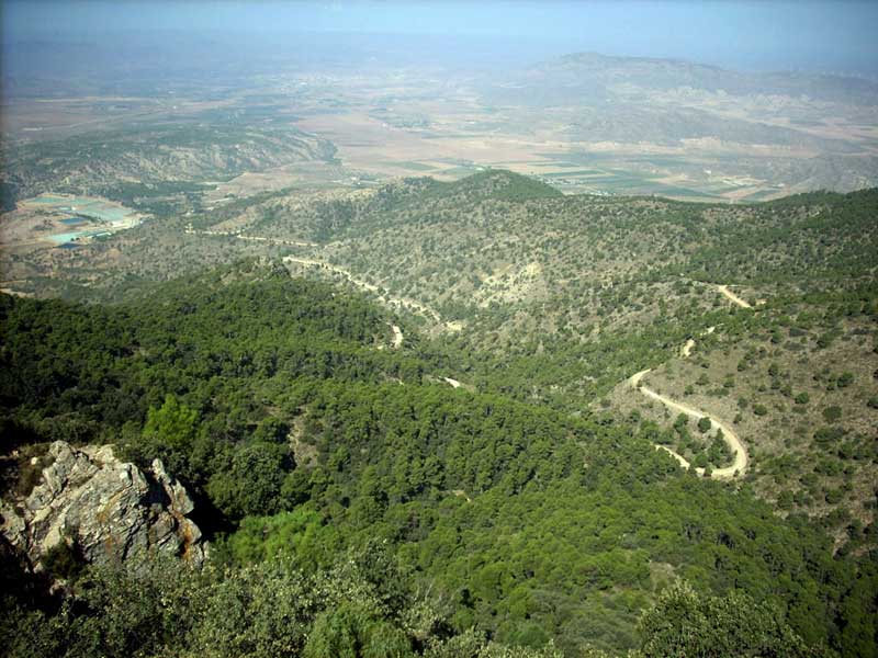 Jumilla desde la Sierra del Carche