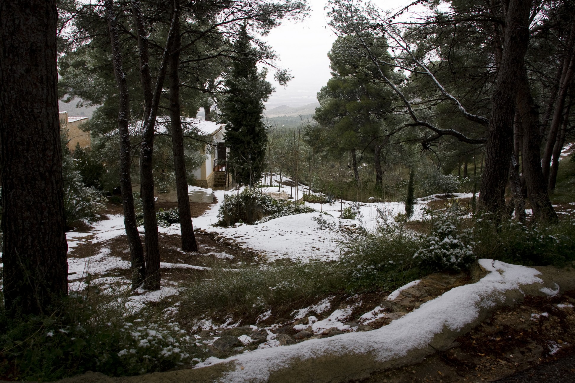 Nieve de enero