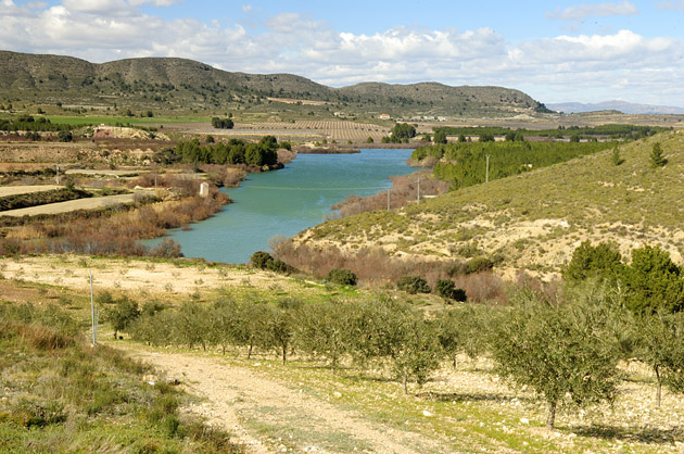 El embalse del Argos desde El Cabezo