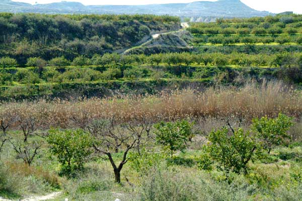 La Huerta de Campos del Río